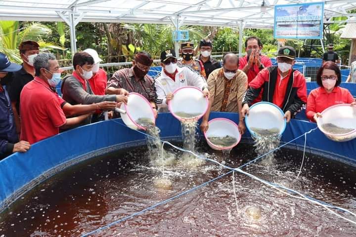 podiumnews.com-Bupati Sanjaya Dorong Alih Teknologi Perikanan di Tabanan